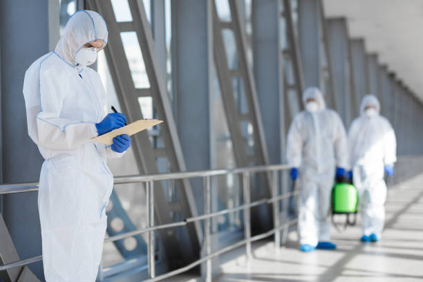 Best Basement Mold Removal  in Grovetown, GA